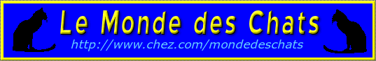 D�couvrez le Monde des Chats !